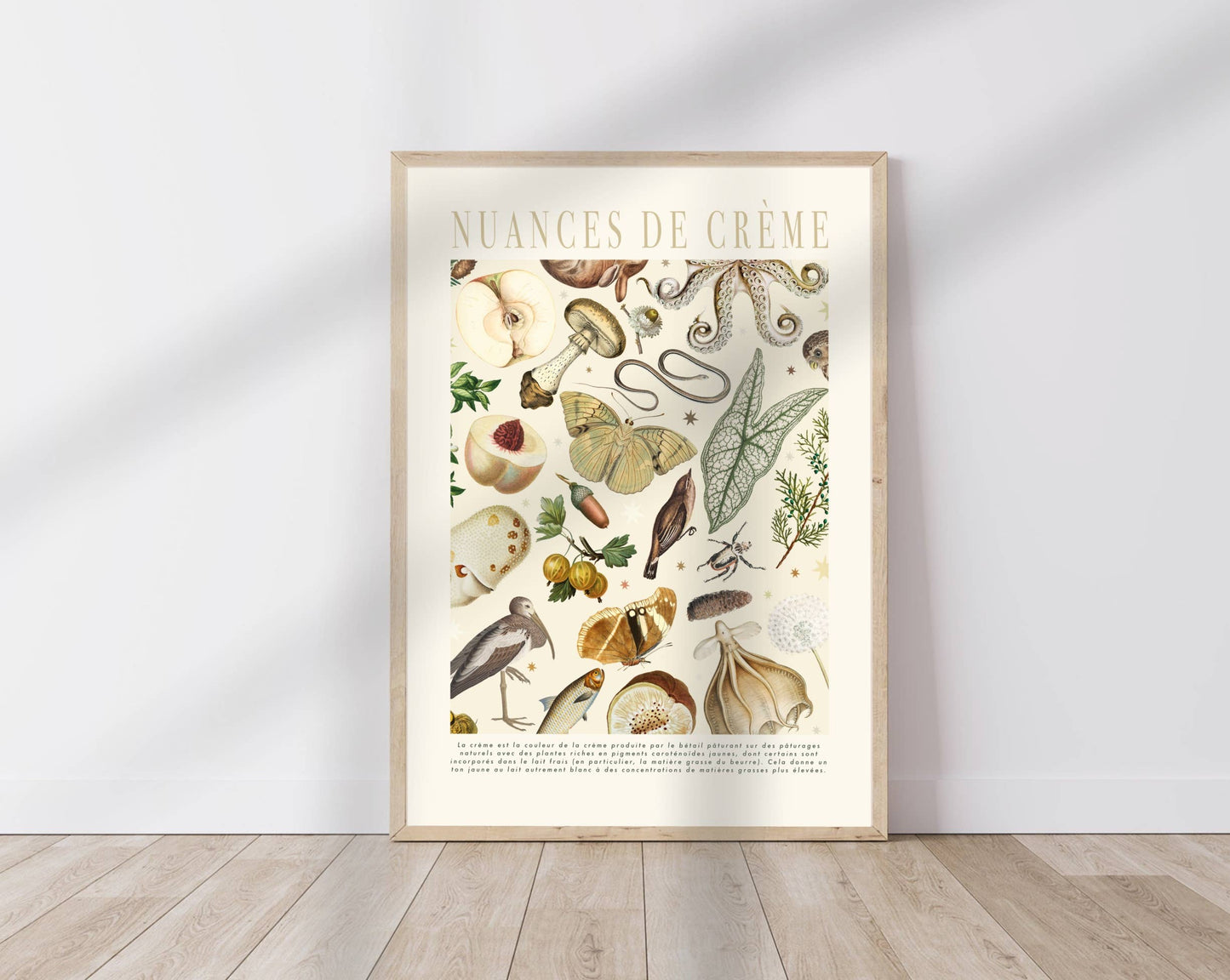 Cream Shades Print, Botanical Print, Bright Colourful,