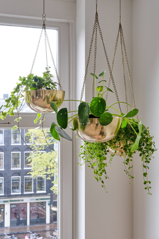 Set 3 Hanging Planter for Outdoor & Indoor Plants